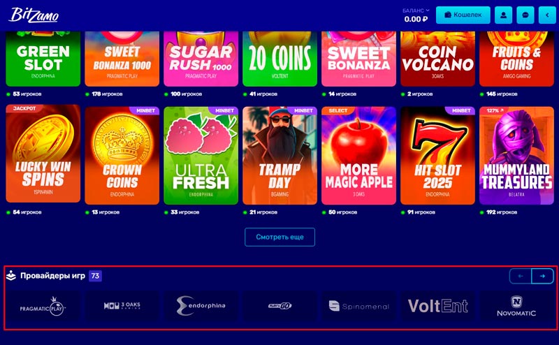 Провайдеры в Bitzamo Casino